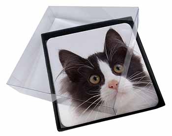 4x Black and White Cat Picture Table Coasters Set in Gift Box