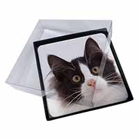 4x Black and White Cat Picture Table Coasters Set in Gift Box