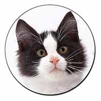 Black and White Cat Fridge Magnet Printed Full Colour