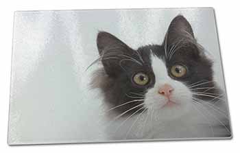 Large Glass Cutting Chopping Board Black and White Cat