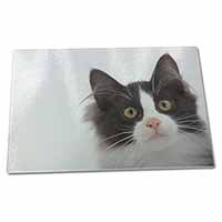 Large Glass Cutting Chopping Board Black and White Cat
