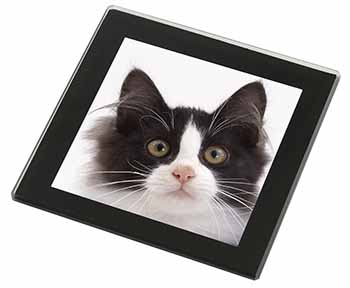 Black and White Cat Black Rim High Quality Glass Coaster