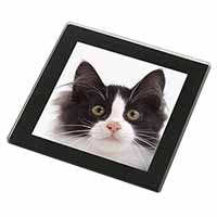 Black and White Cat Black Rim High Quality Glass Coaster