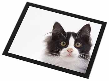 Black and White Cat Black Rim High Quality Glass Placemat