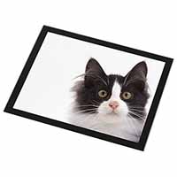 Black and White Cat Black Rim High Quality Glass Placemat
