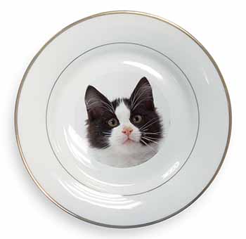 Black and White Cat Gold Rim Plate Printed Full Colour in Gift Box