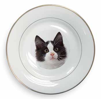 Black and White Cat Gold Rim Plate Printed Full Colour in Gift Box