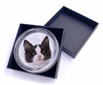 Black and White Cat Glass Paperweight in Gift Box