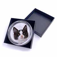 Black and White Cat Glass Paperweight in Gift Box