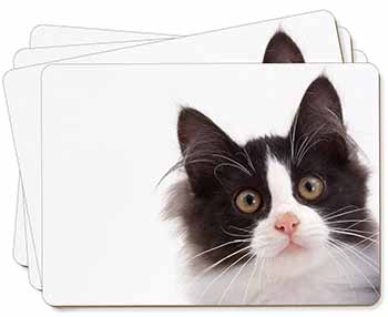 Black and White Cat Picture Placemats in Gift Box