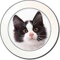 Black and White Cat Car or Van Permit Holder/Tax Disc Holder