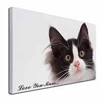 Black White Cat 