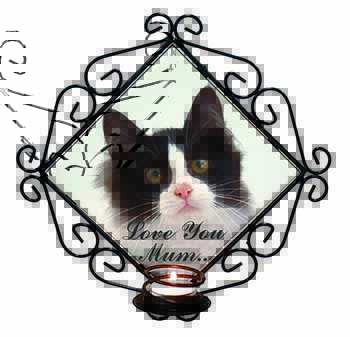 Black White Cat 