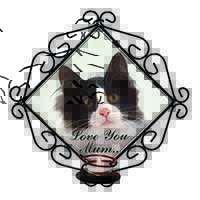 Black White Cat 