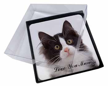 4x Black White Cat 