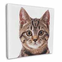 Brown Tabby Cats Face Square Canvas 12"x12" Wall Art Picture Print