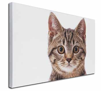 Brown Tabby Cats Face Canvas X-Large 30"x20" Wall Art Print