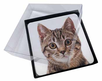 4x Brown Tabby Cats Face Picture Table Coasters Set in Gift Box