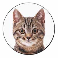 Brown Tabby Cats Face Fridge Magnet Printed Full Colour