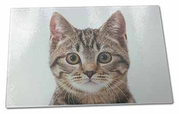 Large Glass Cutting Chopping Board Brown Tabby Cats Face