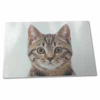 Large Glass Cutting Chopping Board Brown Tabby Cats Face