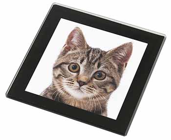 Brown Tabby Cats Face Black Rim High Quality Glass Coaster