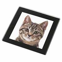 Brown Tabby Cats Face Black Rim High Quality Glass Coaster