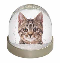 Brown Tabby Cats Face Snow Globe Photo Waterball