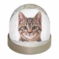 Brown Tabby Cats Face Snow Globe Photo Waterball