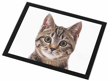 Brown Tabby Cats Face Black Rim High Quality Glass Placemat