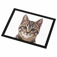 Brown Tabby Cats Face Black Rim High Quality Glass Placemat