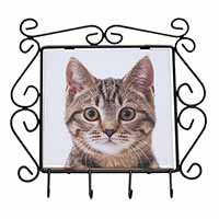 Brown Tabby Cats Face Wrought Iron Key Holder Hooks