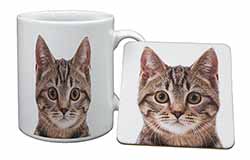 Brown Tabby Cats Face Mug and Coaster Set