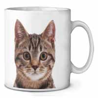 Brown Tabby Cats Face Ceramic 10oz Coffee Mug/Tea Cup