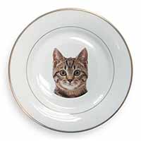 Brown Tabby Cats Face Gold Rim Plate Printed Full Colour in Gift Box