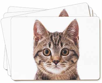 Brown Tabby Cats Face Picture Placemats in Gift Box