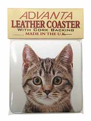 Brown Tabby Cats Face Single Leather Photo Coaster