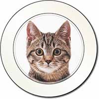 Brown Tabby Cats Face Car or Van Permit Holder/Tax Disc Holder