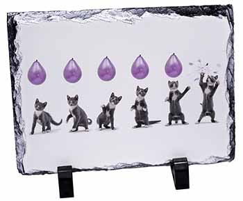 Kittens Bursting Balloons, Stunning Photo Slate