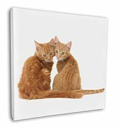 Ginger Kittens Square Canvas 12"x12" Wall Art Picture Print