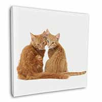 Ginger Kittens Square Canvas 12"x12" Wall Art Picture Print