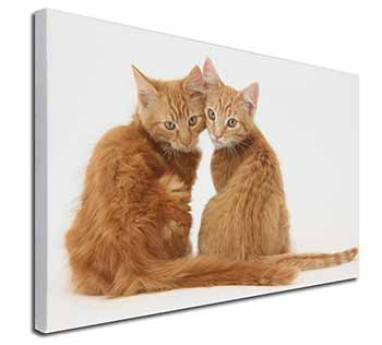 Ginger Kittens Canvas X-Large 30"x20" Wall Art Print