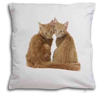 Ginger Kittens Soft White Velvet Feel Scatter Cushion