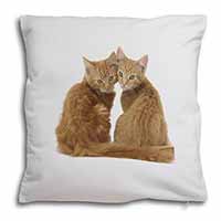 Ginger Kittens Soft White Velvet Feel Scatter Cushion