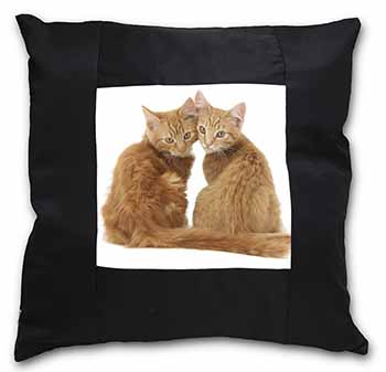 Ginger Kittens Black Satin Feel Scatter Cushion