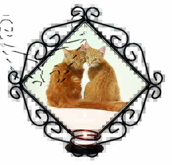 Ginger Kittens Wrought Iron Wall Art Candle Holder