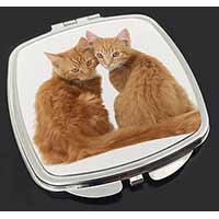 Ginger Kittens Make-Up Compact Mirror