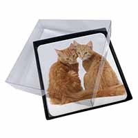 4x Ginger Kittens Picture Table Coasters Set in Gift Box