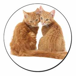 Ginger Kittens Fridge Magnet Printed Full Colour
