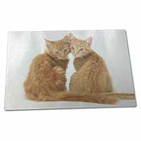 Large Glass Cutting Chopping Board Ginger Kittens